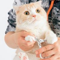 ストレスなくスパッと切れる猫用爪切り