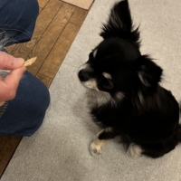 広島産 若鶏ささみジャーキー(PEPPY LIFE 犬おやつシリーズ)