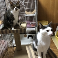 さわやかリネンタワー